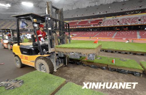 Workers pave the lawn in the National Stadium to prepare for upcoming matches on August 10, 2008. [Photo: Xinhuanet]