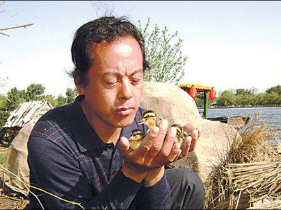 Qu Xisheng checks the health of two newly-born ducks on the wild duck island he built on Shichahai.