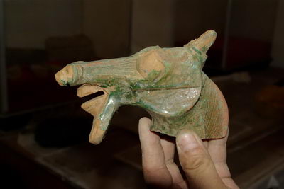 An unearthed terra cotta horse head
