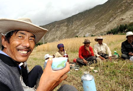 Norbu Cering (L) takes a tea break with other villagers in a newly harvested field at a village in Quxu County, southwest China's Tibet Autonomous Region, August 12, 2008. It is now the harvest season of winter wheat and coleseed along the Yarlung Zangbo River and in the Lhasa River valley in the region. [Xinhua] 