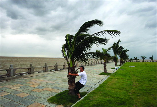 Tropical storm Nuri made landfall in Nanlang Town, Zhongshan City, of the southern Guangdong Province at 10:10 PM on Friday, packing winds of up to force-10, or 90 km per hour.