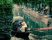 Snapshots of history