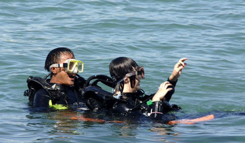 ourists dive near the Dadonghai Beach in Sanya City, south China&apos;s Hainan Province, Aug. 25, 2008. Beautiful scenery and agreeable weather in the island province is attracting increasingly more tourists after the Beijing Olympic Games. (Xinhua Photo/Zhao Yingquan)