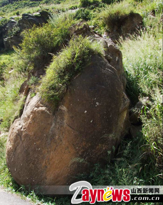 The largest stromatolite so far discovered in China as shown in this photo published on August 25. [Photo: Daynews.com]