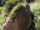 China's largest stromatolite discovered in Shanxi 