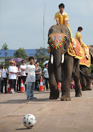 An elephant tries a shoot during a 'football' game of an animal sports meeting at a wildlife park in Kunming, capital of Southwest China's Yunnan Province, Aug. 22, 2008. 
