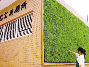 A passerby examines the grass growing on the wall of a public toilet on Cha Ha Er Road in the Jiangsu Province city of Nanjing on Tuesday, August 26, 2008. [Photo: yangtse.com]