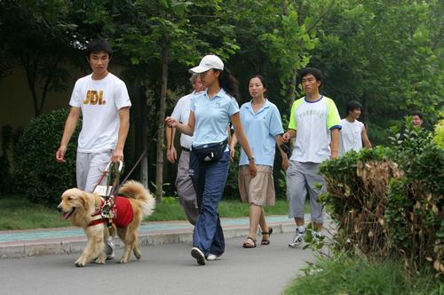 Guide dogs for foreigners attending the Beijing Paralympic Games will enjoy easy entry into China. 