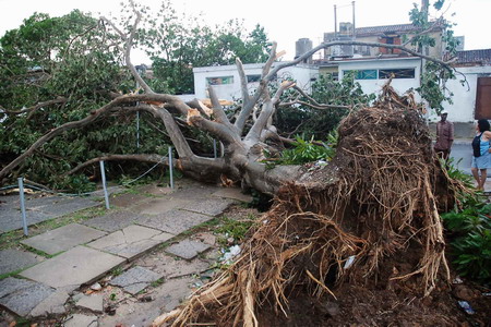 Residents look at a fallen tree in Pinar Del Rio in the aftermath of Hurricane Gustav August 31, 2008. Gustav moved into the oil-rich Gulf of Mexico on Saturday where it was expected to strengthen and threaten New Orleans after its 150 mile per hour (240 kph) winds cut a swath of destruction through western Cuba. [Agencies]