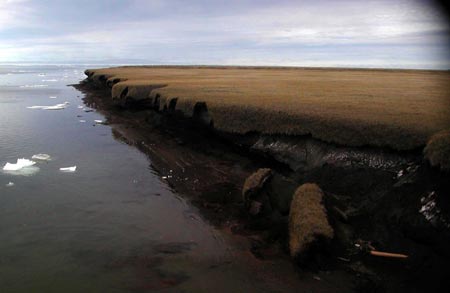 A handout photo from 2004 shows coastal erosion of mud-rich permafrost along on Beaufort Sea coastline Drew Point in Alasaka. (Xinhua/Reuters Photo)
