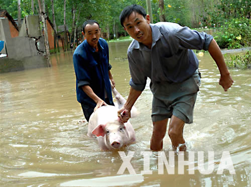 The heaviest rain which hit Hubei Province this year has so far affected more than 5 million people in 43 counties, damaged 4,841 houses and resulted in a direct economic loss of 1.978 billion yuan (US$289 million), the Ministry of Civil Affairs said on September 1.