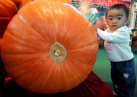 A kid poses for photos with a big pumpkin at the 2008 Kunming International Agriculture Exposition in Kunming, southwest China's Yunnan Province, Sept. 4, 2008. Visitors were attracted by some vegetables in extra large size during the exposition, such as big pumpkins and eggplants. [Xinhua] 
