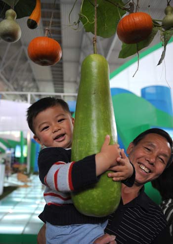 A kid holds a towel gourd at the 2008 Kunming International Agriculture Exposition in Kunming, southwest China's Yunnan Province, Sept. 4, 2008. Green food and pollution-free vegetables are customers' favorite at the Exposition held along with the 2008 Kunming International Flower Exhibition. [Xinhua] 