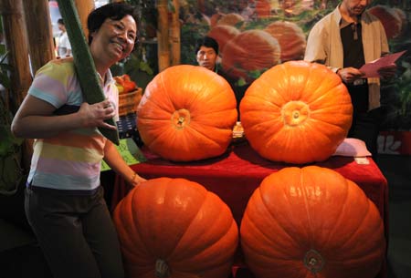 A visitor poses for photos with big pumpkins at the 2008 Kunming International Agriculture Exposition in Kunming, southwest China's Yunnan Province, Sept. 4, 2008. Green food and pollution-free vegetables are customers' favorite at the Exposition held along with the 2008 Kunming International Flower Exhibition. [Xinhua] 