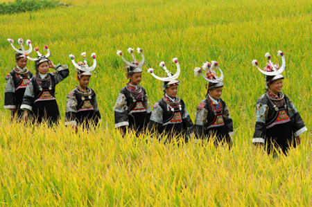 Women wearing traditional costumes walk in paddy fields in Duyun, southwest China's Guizhou Province, September 7, 2008.