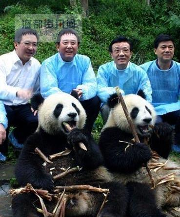 Chen Yunlin (second from left), chairman of the mainland-based Association for Relations Across the Taiwan Straits (ARATS), Visits the giant panda breeding base in Ya'an on September 9, 2008. Chen said experts had agreed the pandas should be sent to Taiwan within a year to allow them to adjust to the new environment.