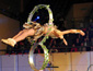 Special gala in NW China's Yinchuan
