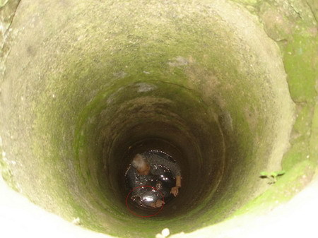A grandmother fell into a deep well and was entangled by a water snake in a village in Xuchang city in central China's Henan Province on Wednesday, September 10, 2008. [Photo: dahe.cn]