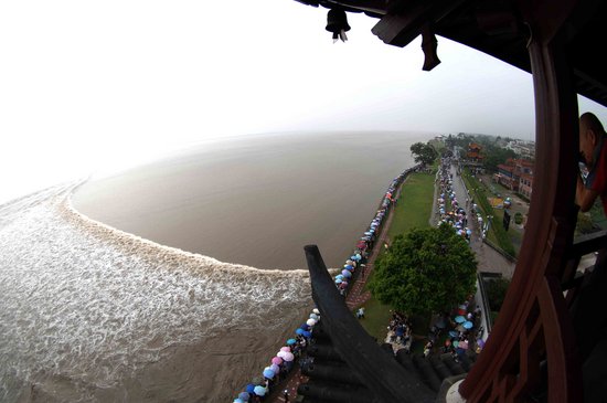Huge wave hit the coast in Haining City as Typhoon Sinlaku approached Zhejiang Province on September 15, 2008. Over ten thousands tourists watched the spectacle in the rain. [CFP]