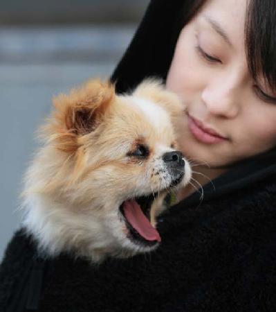 Chinese actress Sun Li is seen nurturing a dog in this photo to be displayed at a photographic exhibition in Beijing. Sun has written a book entitled 'Take Me Home,' sharing stories about stray animals. The book will be released this Friday to coincide with the opening of the exhibition.