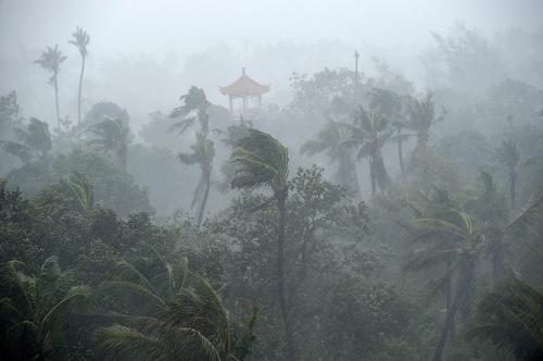 Strong gales uprooted many trees and bulletin boards in Maoming when the typhoon landed. City authorities said one fishing boat sank in waters off Dianbai County, but no casualties were reported. 