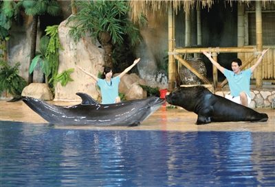 Under the instruction of their trainers, a dolphin kisses a sea lion in the Beijing Aquarium in this photo published on Thursday, September 25, 2008. [Photo:jinghua.cn]  