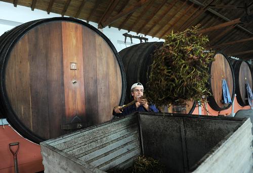 An inmate works on the cellar at Estabelicimento Prisional de Alcoentre, central Portugal, on September 25, 2008. Since 1944 and since its installation on a former vineyard 70 km northeast of Lisbon, the Alcoentre prison (481 prisoners) operates its 27 hectares of vineyards and makes its own wine which regularly wins prizes. [Xinhua]