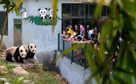 Tourists look at the giant pandas at the Xiangjiang Wildlife World in Guangzhou, capital of south China's Guangdong Province, Sept. 30, 2008. Ten giant pandas in the zoo, including five adopted from Wolong nature reserve in the quake-hit Sichuan Province, become the tourists' favorite attraction in the city during the National Day Holidays. [Xinhua] 
