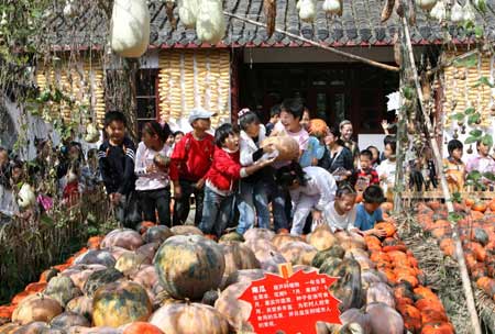Students look at the pumpkins at a park in Nantong, east China's Jiangsu Pronvince, Sept. 30, 2008. Students of Hetao primary school visited a farm park in the city to experience the farmers' life by learning some simple agricultural works. [Xinhua]