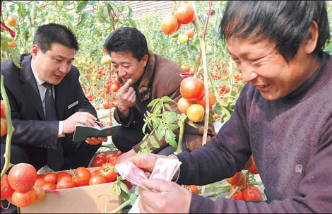 A self-employed businessman (right) in Lingyang township of Rizhao city, East China's Shandong province, counts his micro loan from the Lingyang rural credit cooperative. [China Daily] 