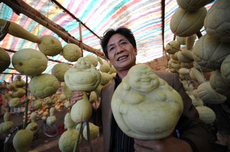 Zha Taishan displays his cultivated calabash in Lanzhou, capital of northwest China&apos;s Gansu Province, Sept. 28, 2008. Zha Taishan used biotechnology to cultivate various shapes of calabash, making the plant into the artworks. [Xinhua]