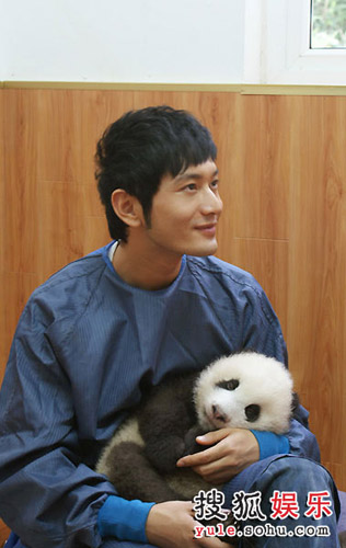 Huang Xiaoming poses for a photo with a panda cub in his arms. 