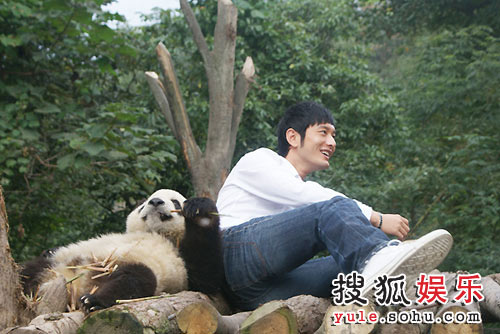  Huang Xiaoming poses for a photo with a panda.