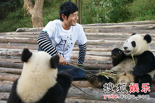 Huang Xiaoming poses for a photo with giant pandas. 