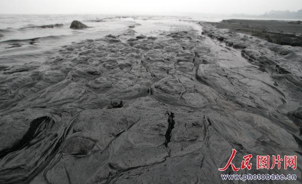 Thousands of tons of 'black water' are discharged into Lake Chao every day.