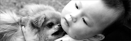 A boy hugs his pet dog in Shanghai. [File photo]