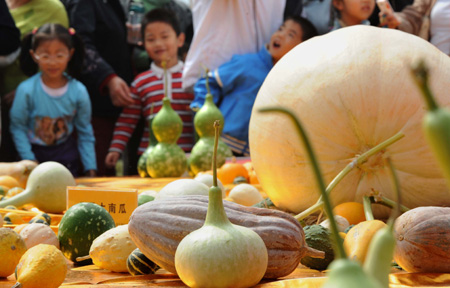 People view different kinds of melons during the 4th agriculture carnival in Nanjing, capital of east China's Jiangsu Province, Oct. 11, 2008. The carnival opened here on Saturday in a 18,000-square-meter exhibition area.[Xinhua]