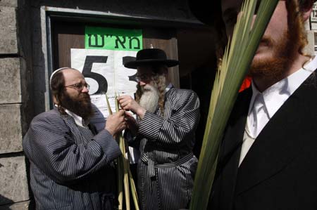 Ultra-orthodox Jews check palm fronds for blemishes in Jerusalem's Mea Shearim neighbourhood October 12, 2008. The palm frond is used in rituals during the week-long Jewish holiday of Sukkot, which begins Monday at sundown.