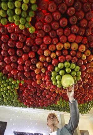 A member of the Samaritan sect decorates a traditional hut known as a sukkah with fruits on Mount Gerizim, on the outskirts of the West Bank City of Nablus October 12, 2008. A sukkah is a ritual hut used during the week-long Jewish holiday of Sukkot which begins Monday at sundown. The Samaritans, who trace their roots to the northern Kingdom of Israel in what is now the northern West Bank, observe religious practices similar to those of Judaism.