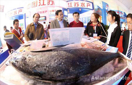 Visitors look at a yellow-fin tuna at the 6th China International Agricultural Product Trade Fair in the National Agriculture Exhibition Center in Beijing, October 15, 2008. [Photo: Asianewsphoto]