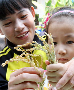 A girl observes rice ears with her teacher in a kindergarten in Suzhou, Jiangsu province, October 15 2008, as part of lessons to teach children to cherish food. [China Daily]