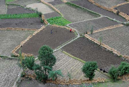 Local farmers work in the fields in Wenxian County of Longnan City, northwest China's Gansu Province, on Oct. 19, 2008. Reconstruction on agriculture is accelerated in Longnan, the province's most suffered area in the May 12 earthquake that devastated China's southwest and northwest regions.[Han Chuanhao/Xinhua Photo]