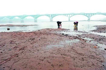 Two women pick up shells in the bank of the Xiangjiang River on October 21. The water level of the river in Changsha section drops to 26 meters, 2.64 meters lower than the average for this time of year.