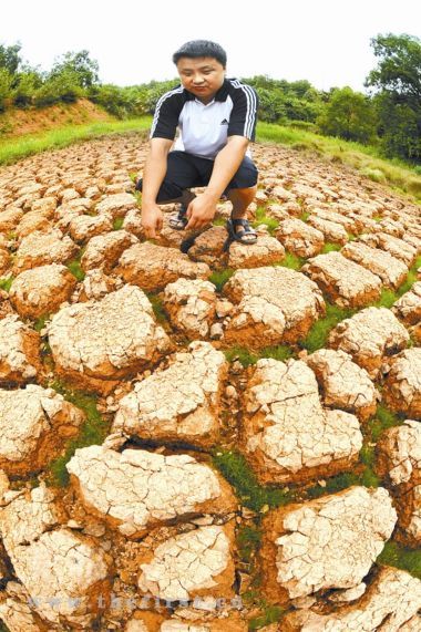 A dried-up farmland in Liuyang, Hunan Province