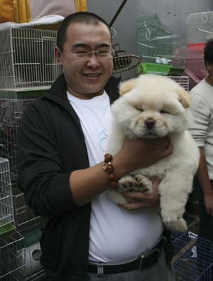 A dog seller holds a Chow Chow dog that is for sale for around 3,000 yuan (US$440) in an alleyway at Beijing's central Bird and Flower market October 1, 2008. A pet dog boom in China's capital has seen exotic-looking breeds such as chow chows, poodles ad labradors become popular, while older, more familiar breeds such as the capital's Pekingese are no longer so sought after. [China Daily/Agencies]