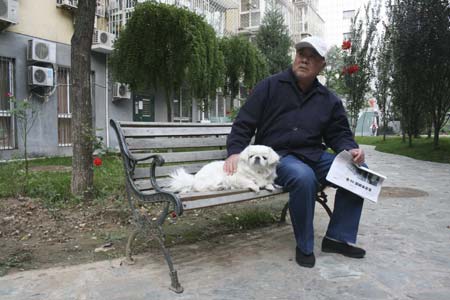 Beijing resident Zhongxin Liu sits with his Pekingese dog Lily on a bench in the garden of his central Beijing apartment compound October 7, 2008. Beijing's Pekingese dogs were the top dogs in the city they are named after for 12 centuries, but have plummeted in popularity over the past decade as exotic new breeds make their way to China. [China Daily/Agencies]