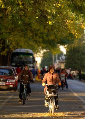 Beijingers wear thick clothes to resist the cold gusts of winds on Thursday, October 23, 2008. [Photo: Xinhua]