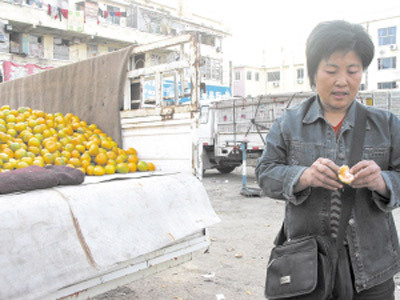 In this photo taken on Monday, October 27, 2008, a peddlery eats tangerines to prove her products are not affected by the pests in Qingdao, east China’s Shandong province. [Photo: qingdaonews.com]