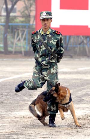 A Chinese police takes part in a fire fighting skills presentation with a rescue dog in Jinan, capital of east China&apos;s Shandong Province, on Oct. 25, 2008. The four dogs, which had received special training of fire fighting at the training center of Fire Controlling Bureau of Shandong Province for two years, are important assistants of the firemen during their daily patrol.