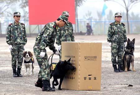 Chinese police take part in a fire fighting skills presentation with rescue dogs in Jinan, capital of east China&apos;s Shandong Province, on Oct. 25, 2008. The four dogs, which had received special training of fire fighting at the training center of Fire Controlling Bureau of Shandong Province for two years, are important assistants of the firemen during their daily patrol.